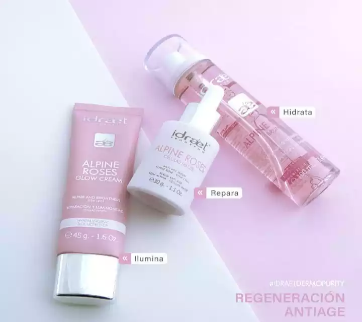 Imagen-de-WhatsApp-2023-01-09-a-las-16.37.22423